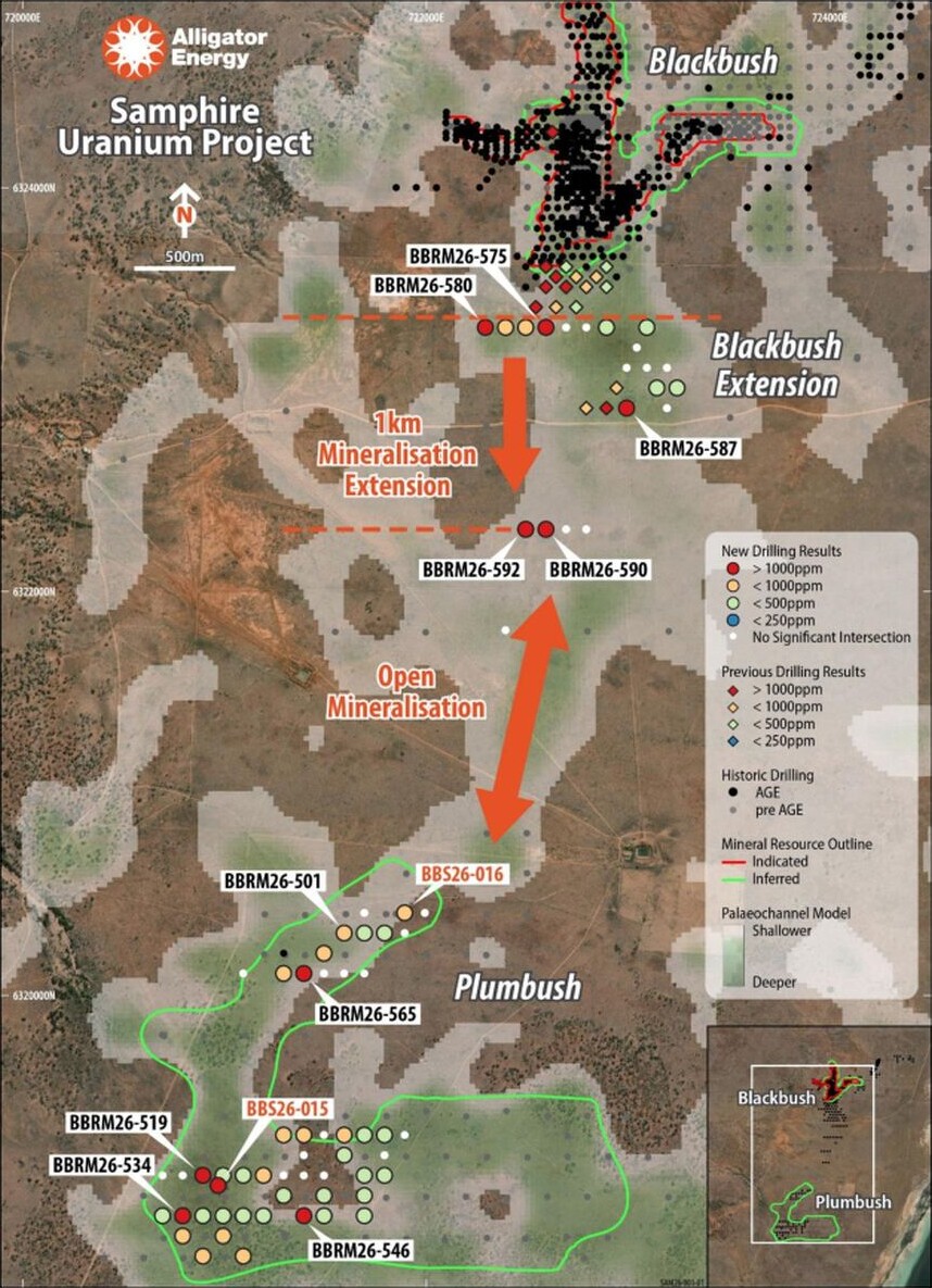 Map of the Samphire Uranium Project showing Blackbush, Plumbush, drilling results and the marked 1 km mineralisation extension between the deposits.