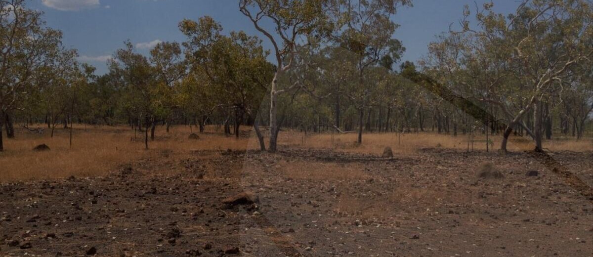 Wooded, rocky landscape at the Wuudagu Bauxite Project.