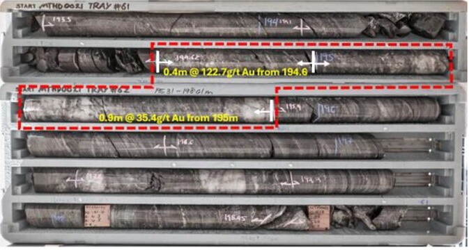 Drill core samples arranged in trays, with dashed red boxes marking two high-grade gold intervals and yellow assay labels.