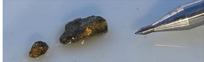 Close-up of dark RC drill chips with visible gold flecks beside the tip of a scribe for scale.
