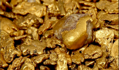 Gold Nugget